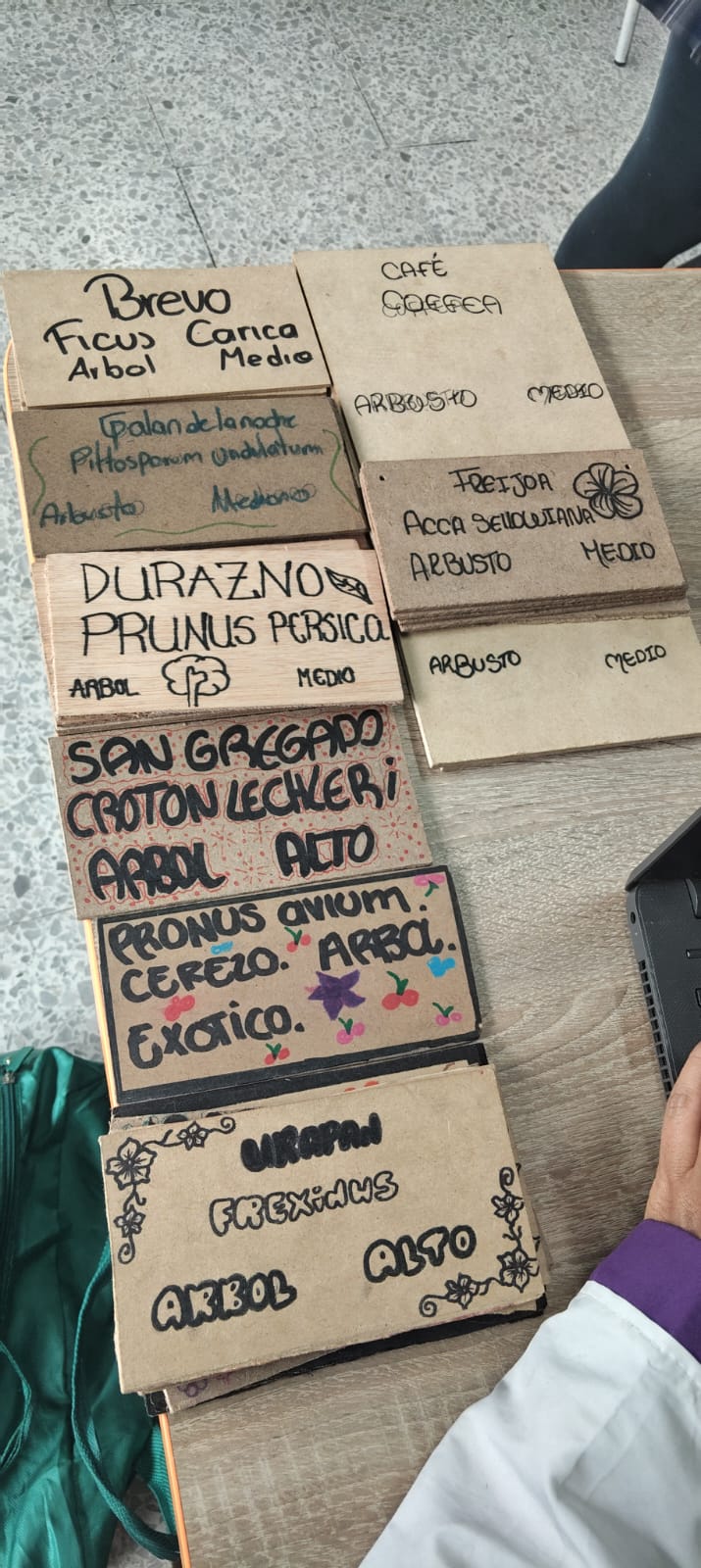Tejiendo territorios: Vigías del Tunal: Estudiantes de Tunjuelito lideran inventario de biodiversidad urbana