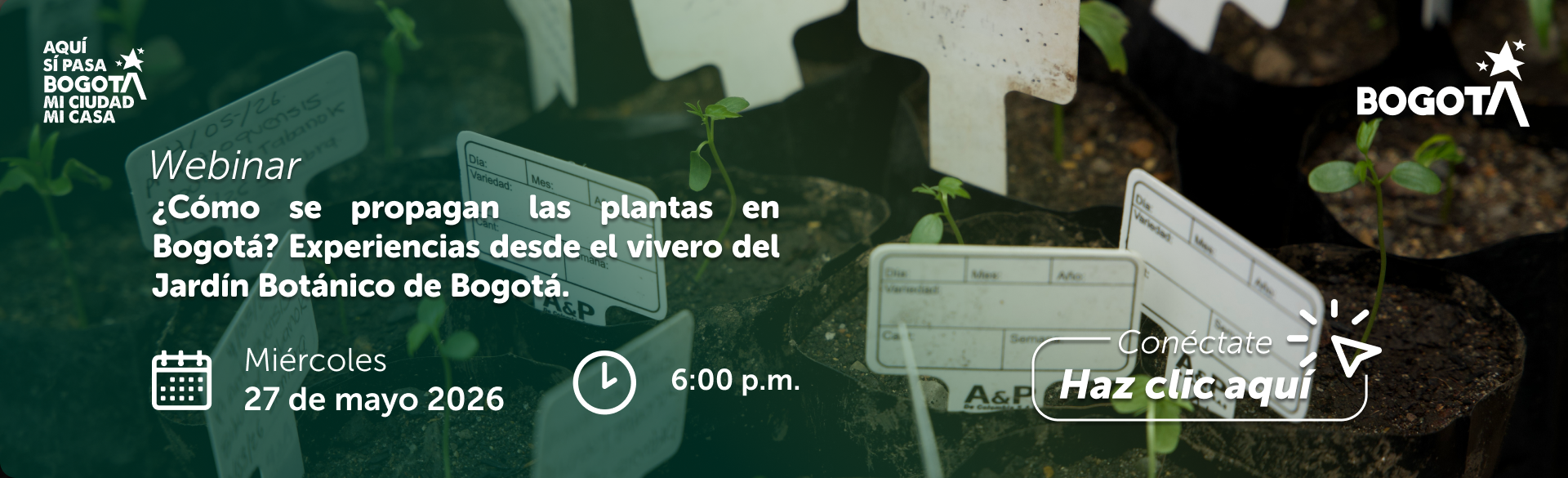 Webinar mayo 2026