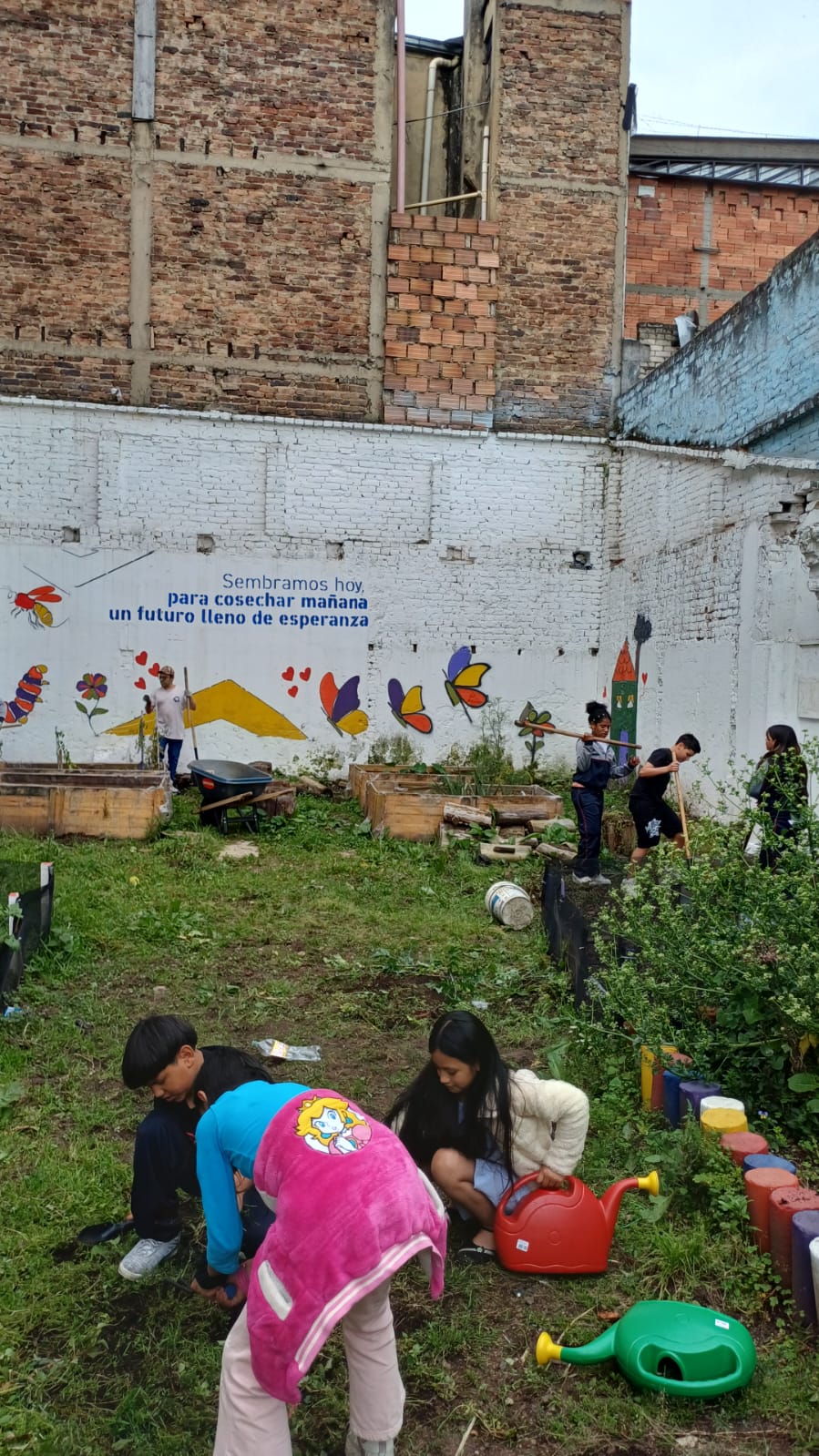Tejiendo territorios: Sembrar esperanza: El renacer del espacio con potencial alimenticio Hogar Amanecer
