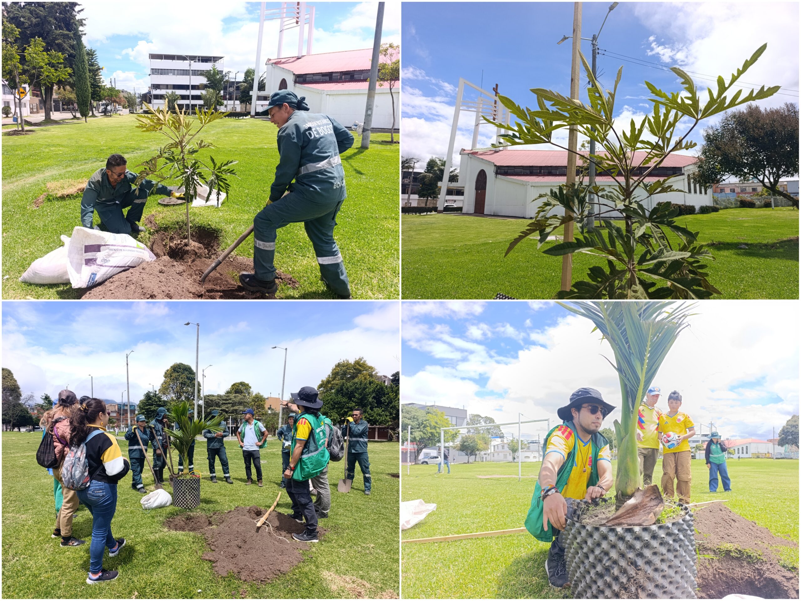 Historias del verde urbano: ¡Maratón de plantaciones en siete localidades de Bogotá!