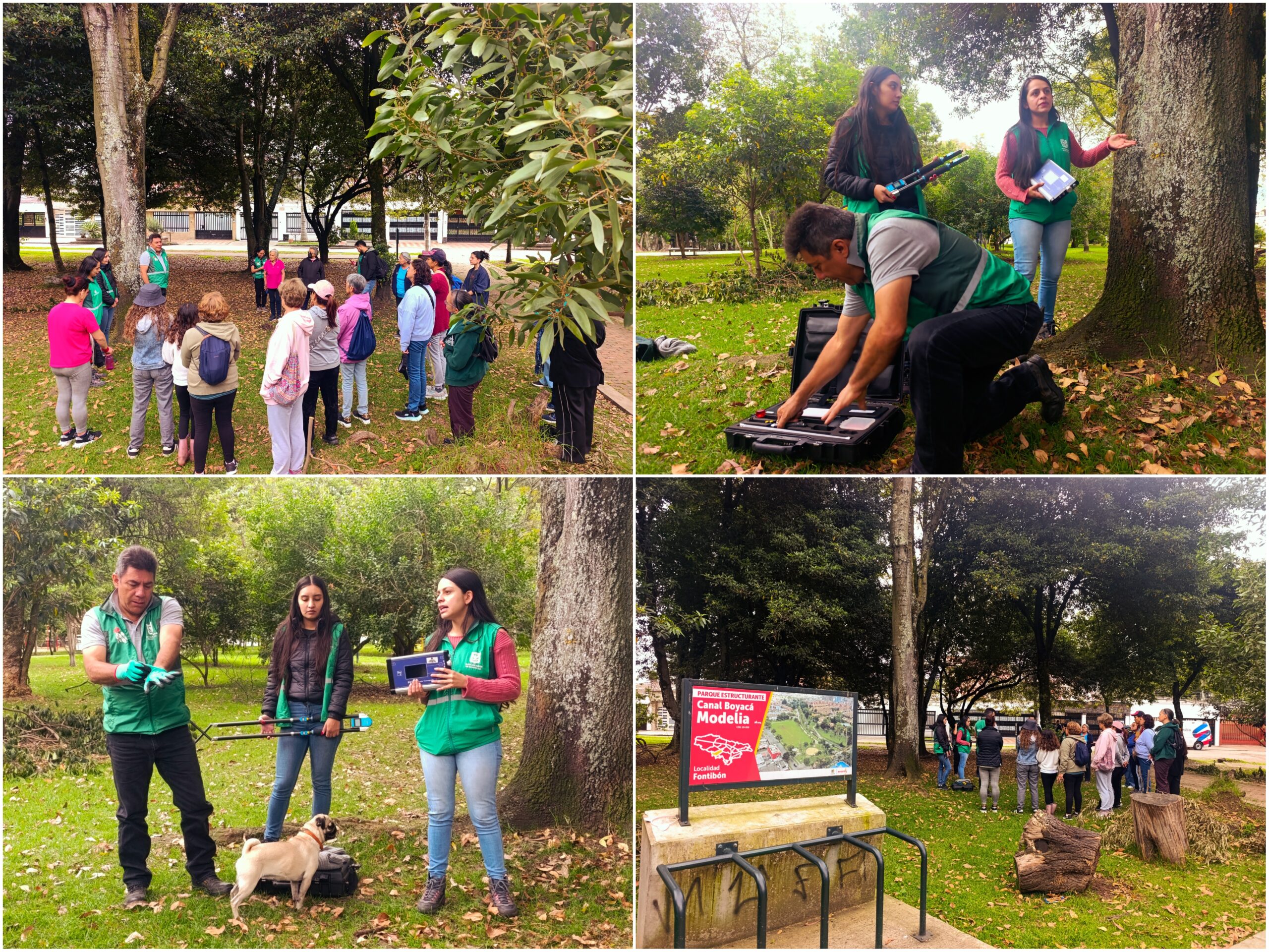 Historias del verde urbano: ¡Tomografía arbórea en el bosque urbano Canal Boyacá!