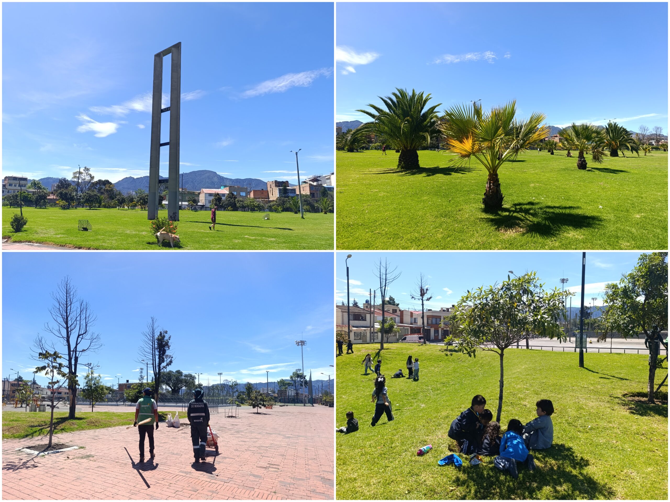 Historias del verde urbano: El nuevo verde del parque Villa Mayor Historias del verde urbano: El nuevo verde del parque Villa Mayor
