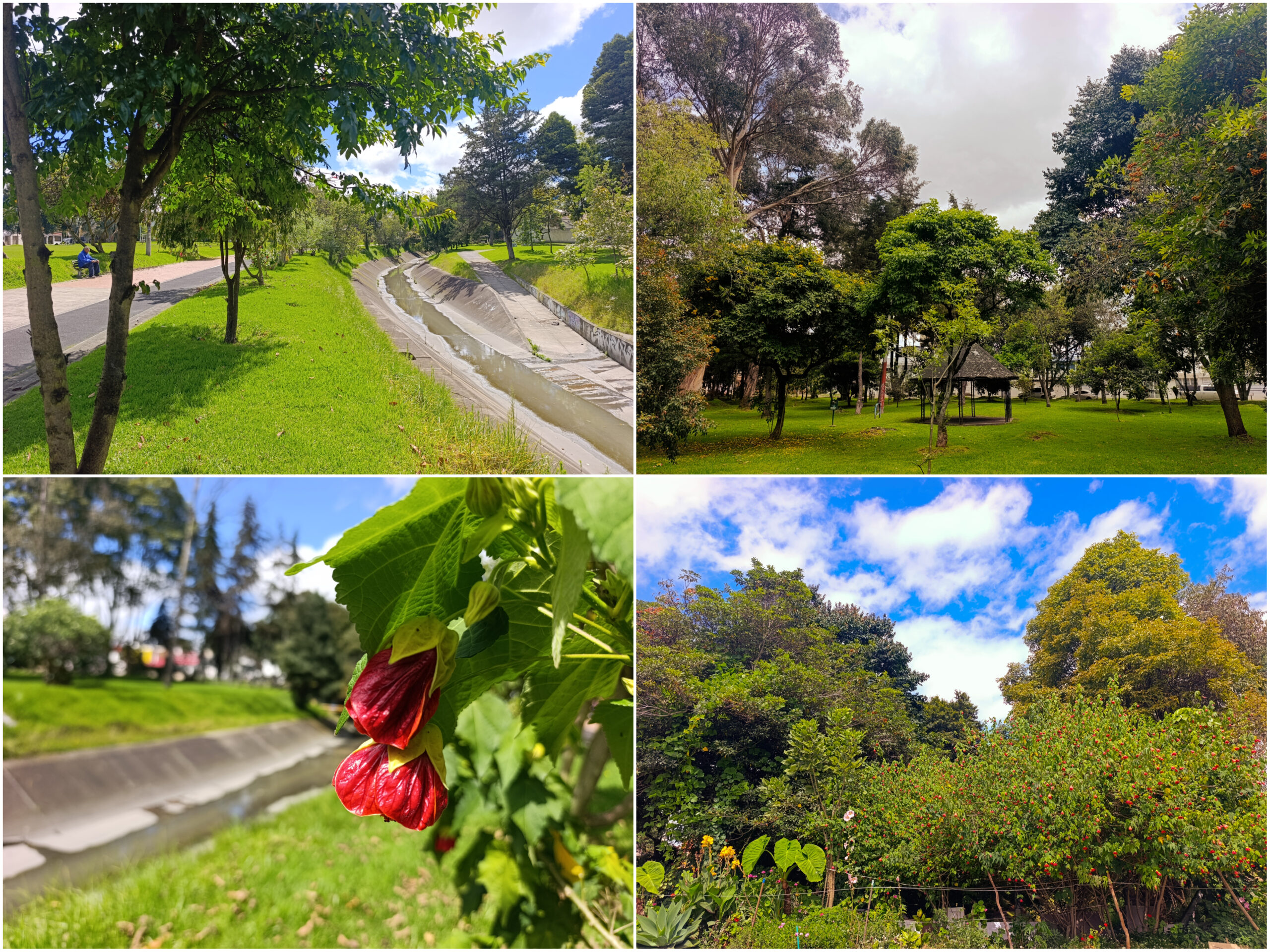 Historias del verde urbano: ¡Arte botánico en el bosque urbano Canal Boyacá!