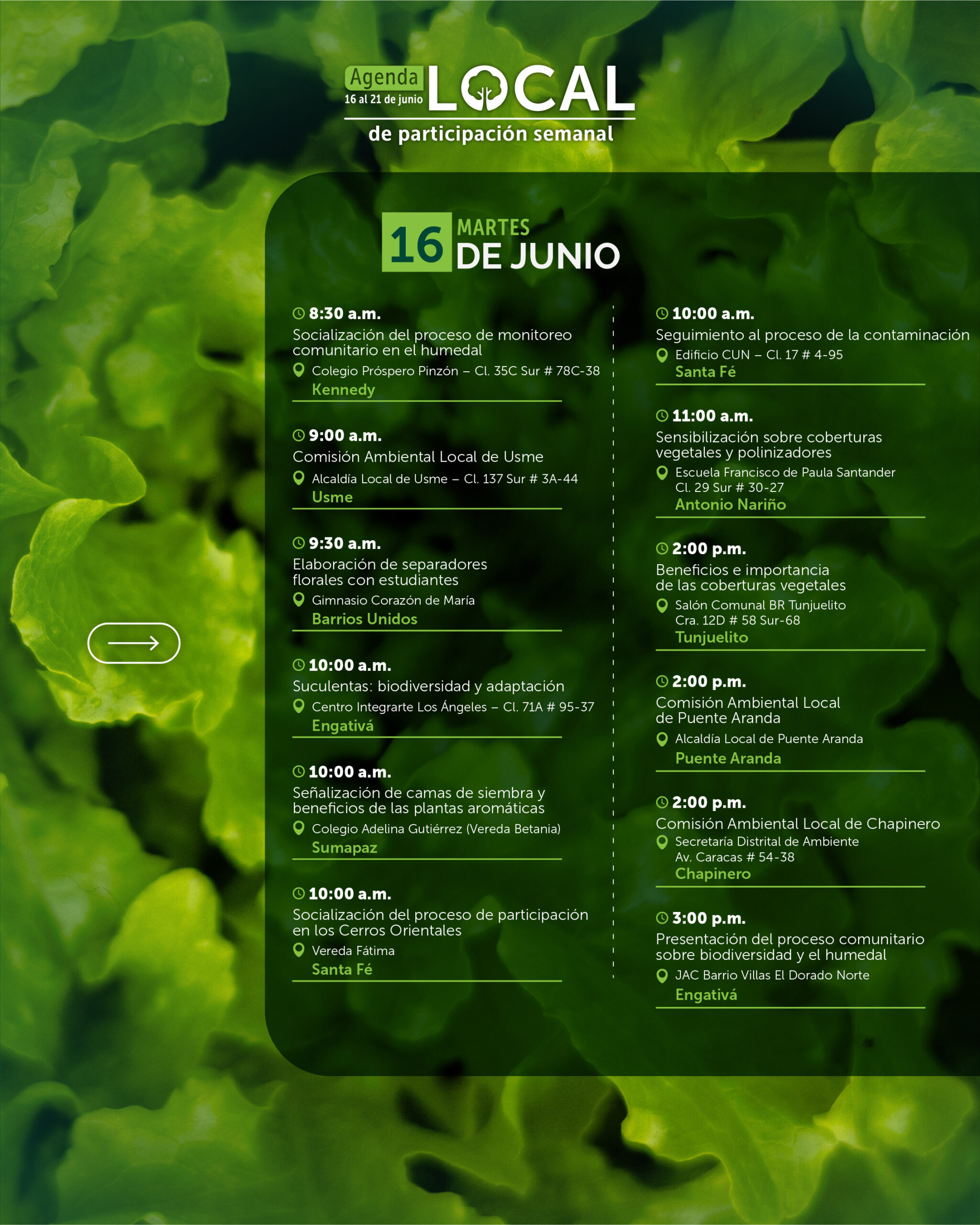 16 al 21 de junio-02