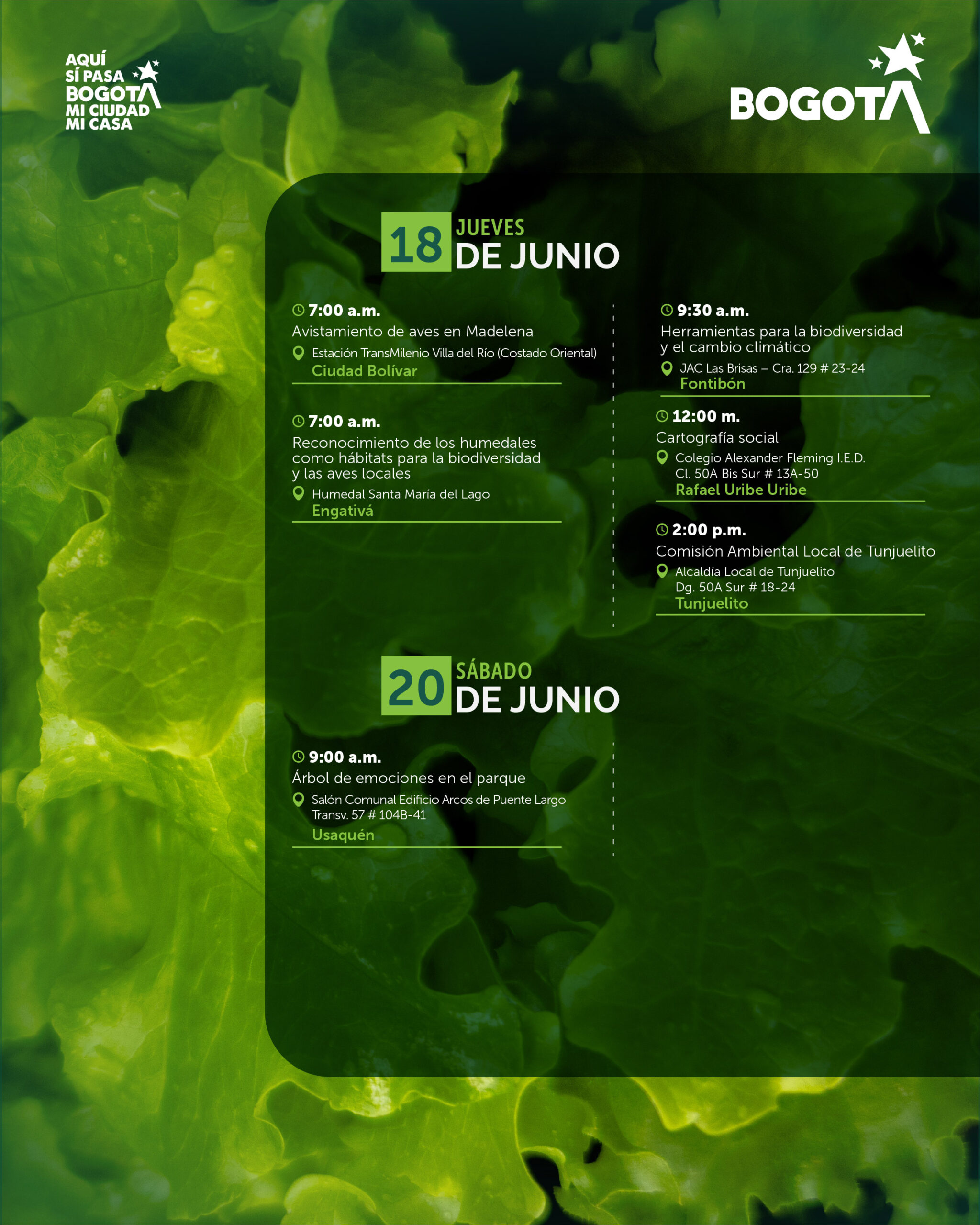 16 al 21 de junio-04