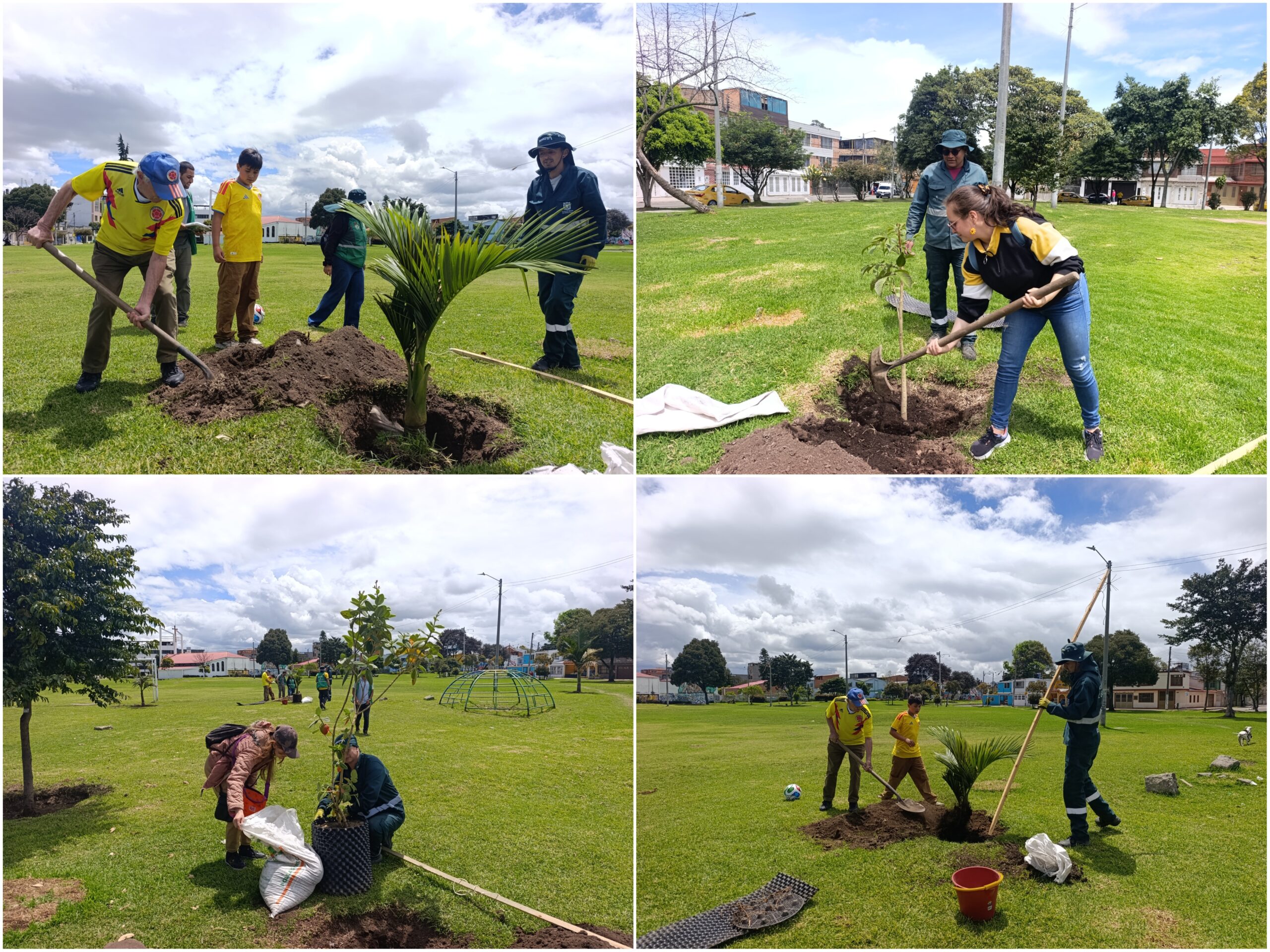 Historias del verde urbano: ¡Maratón de plantaciones en siete localidades de Bogotá!