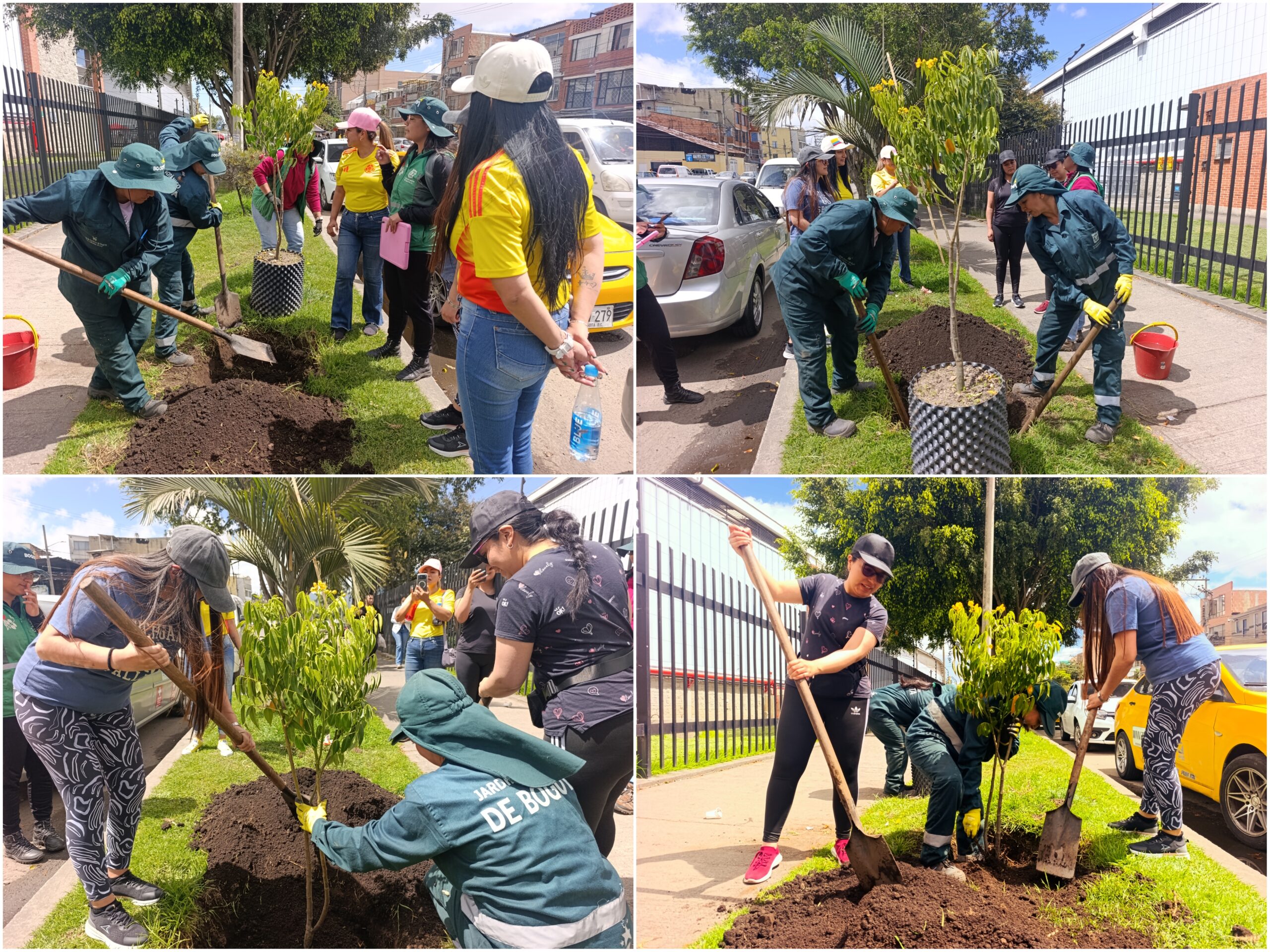 Historias del verde urbano: Recuperación arbórea en los andenes del Complejo Logístico San Cayetano Historias del verde urbano: Recuperación arbórea en los andenes del Complejo Logístico San Cayetano