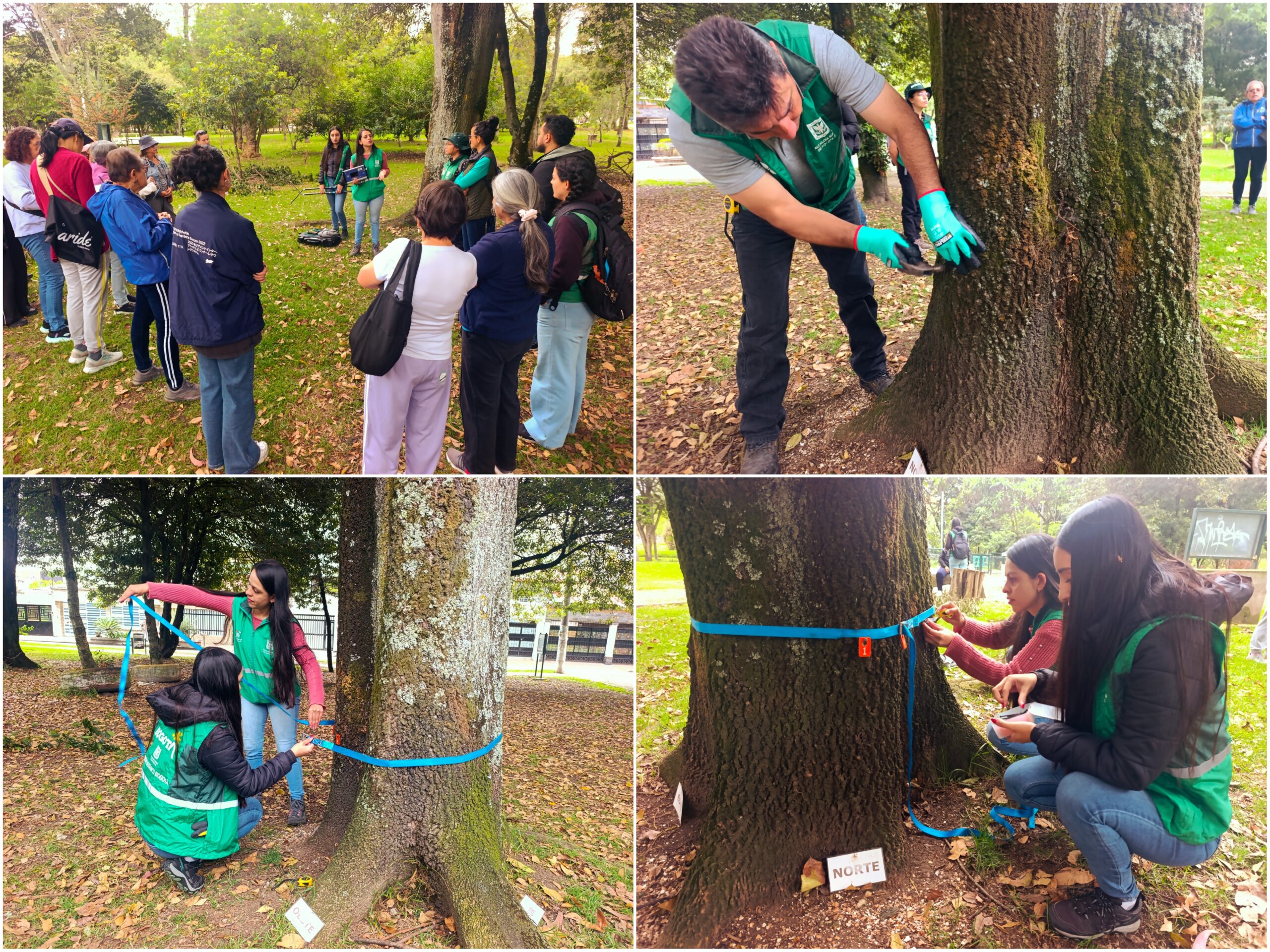 Historias del verde urbano: ¡Tomografía arbórea en el bosque urbano Canal Boyacá!