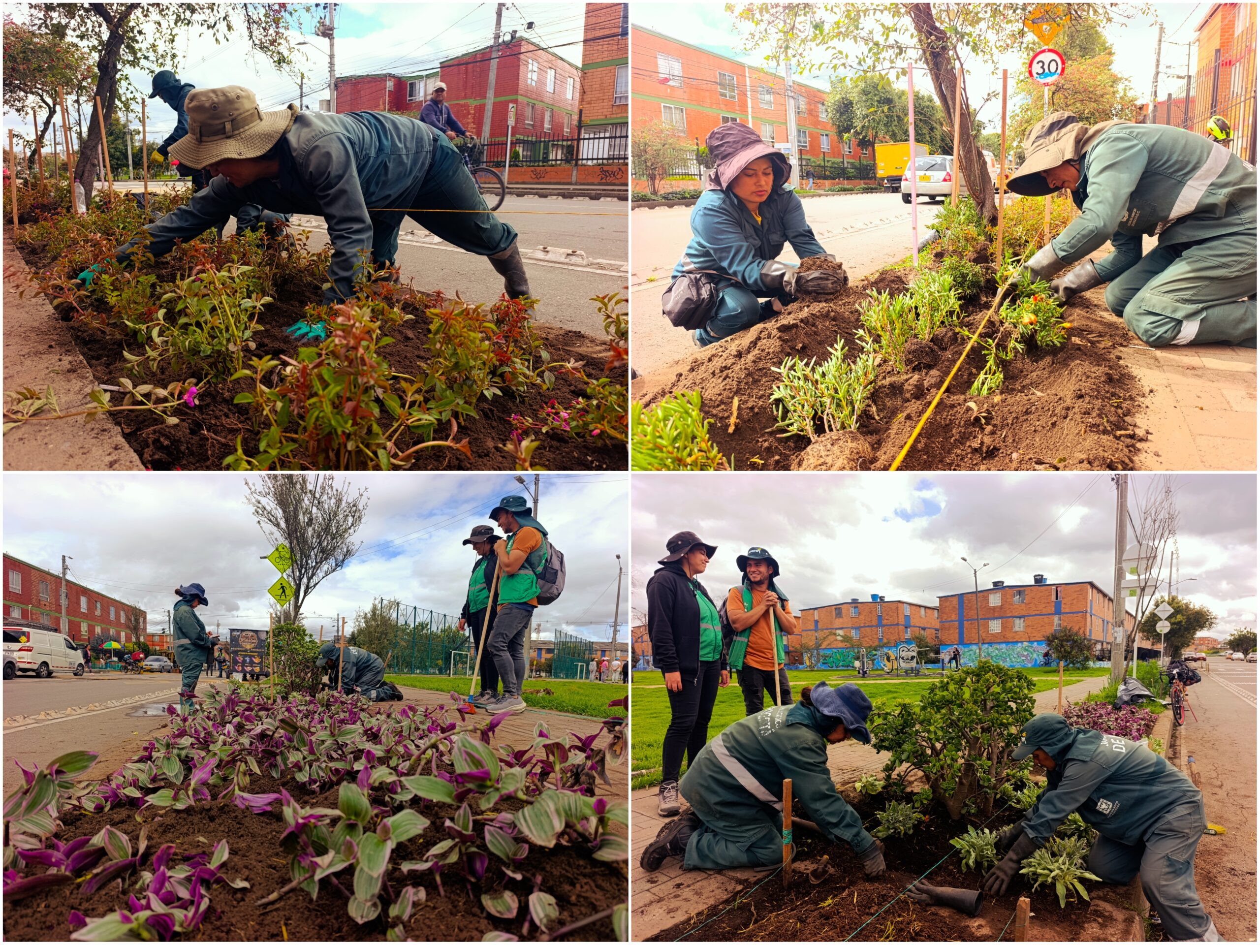 Historias del verde urbano: ¡Florecen los andenes de la Primavera del Tintal! Historias del verde urbano: ¡Florecen los andenes de la Primavera del Tintal!