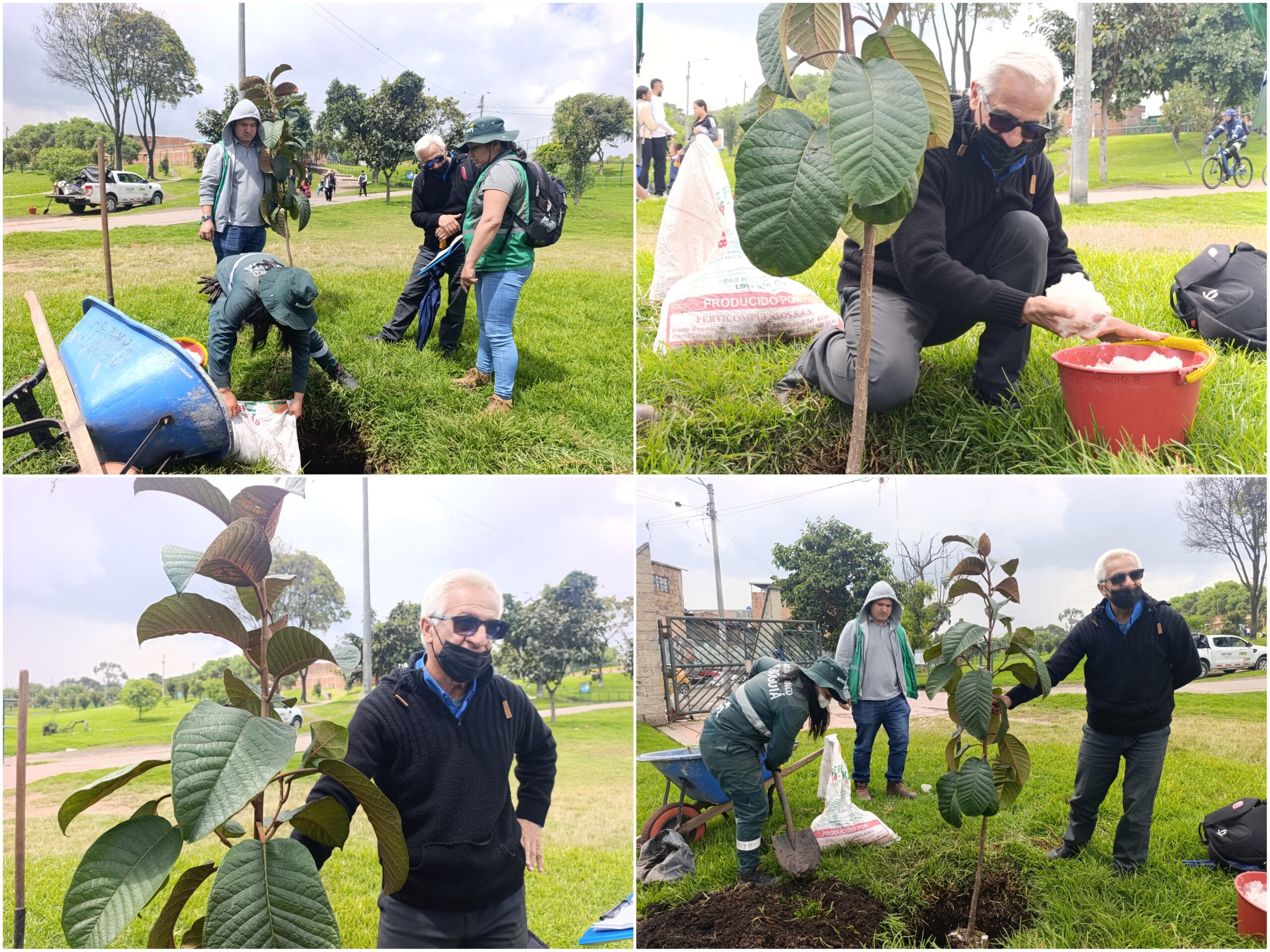 Historias del verde urbano: El vecino verde del humedal La Vaca fortaleció su arbolado Historias del verde urbano: El vecino verde del humedal La Vaca fortaleció su arbolado