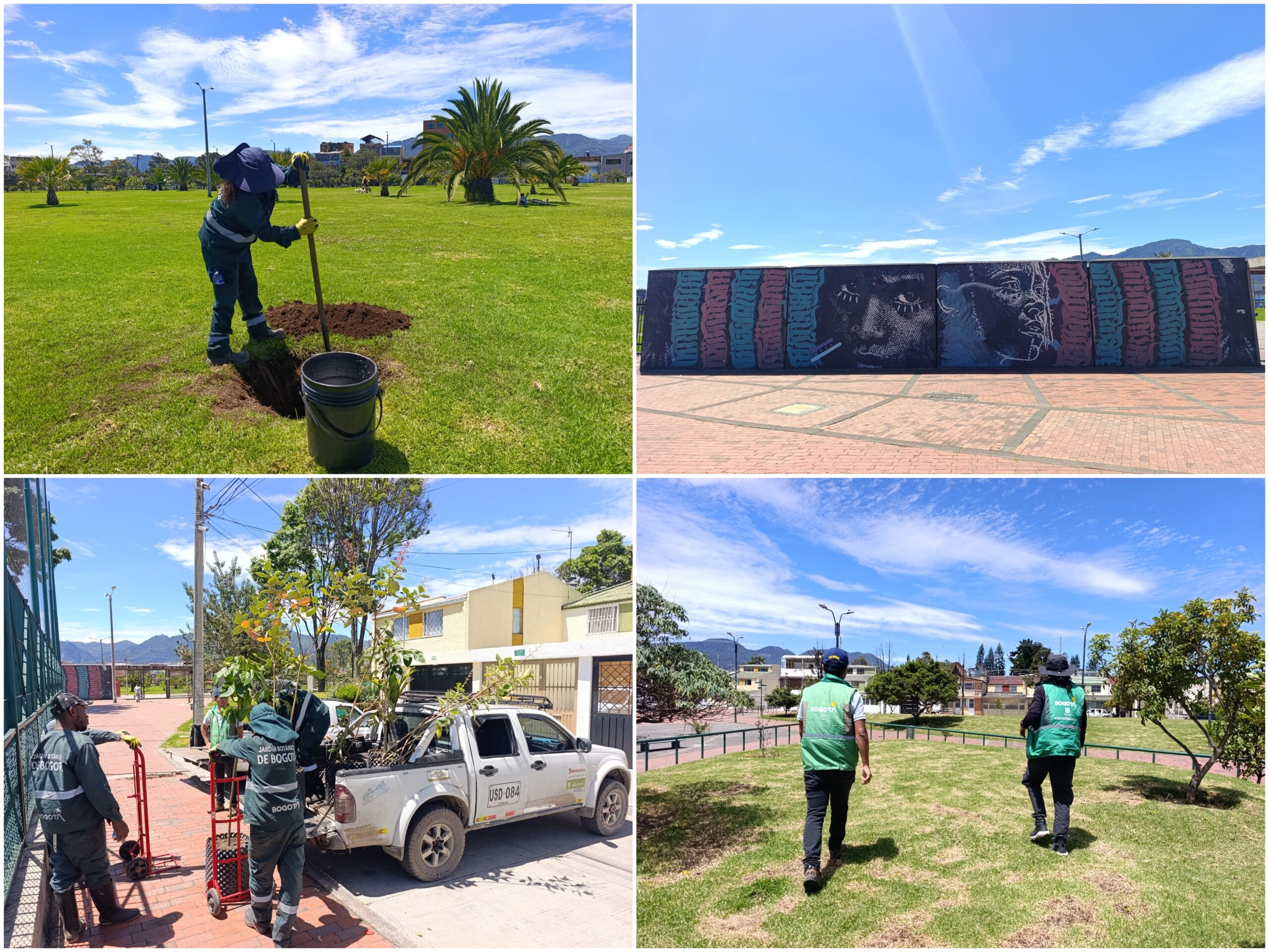 Historias del verde urbano: El nuevo verde del parque Villa Mayor Historias del verde urbano: El nuevo verde del parque Villa Mayor