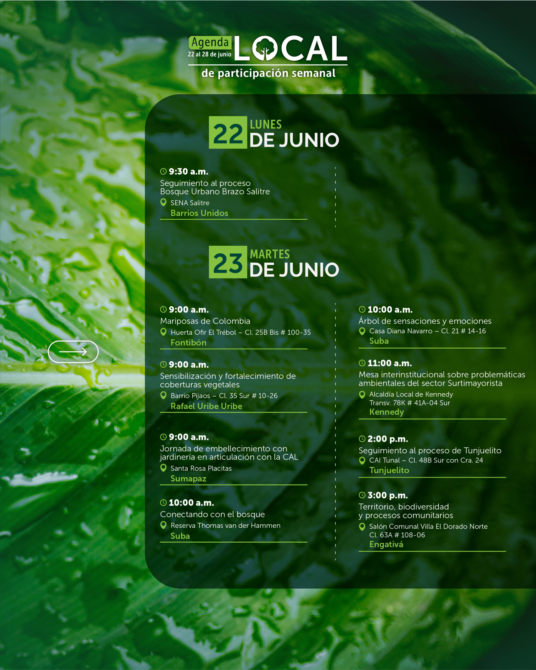 22 al 28 de junio-02
