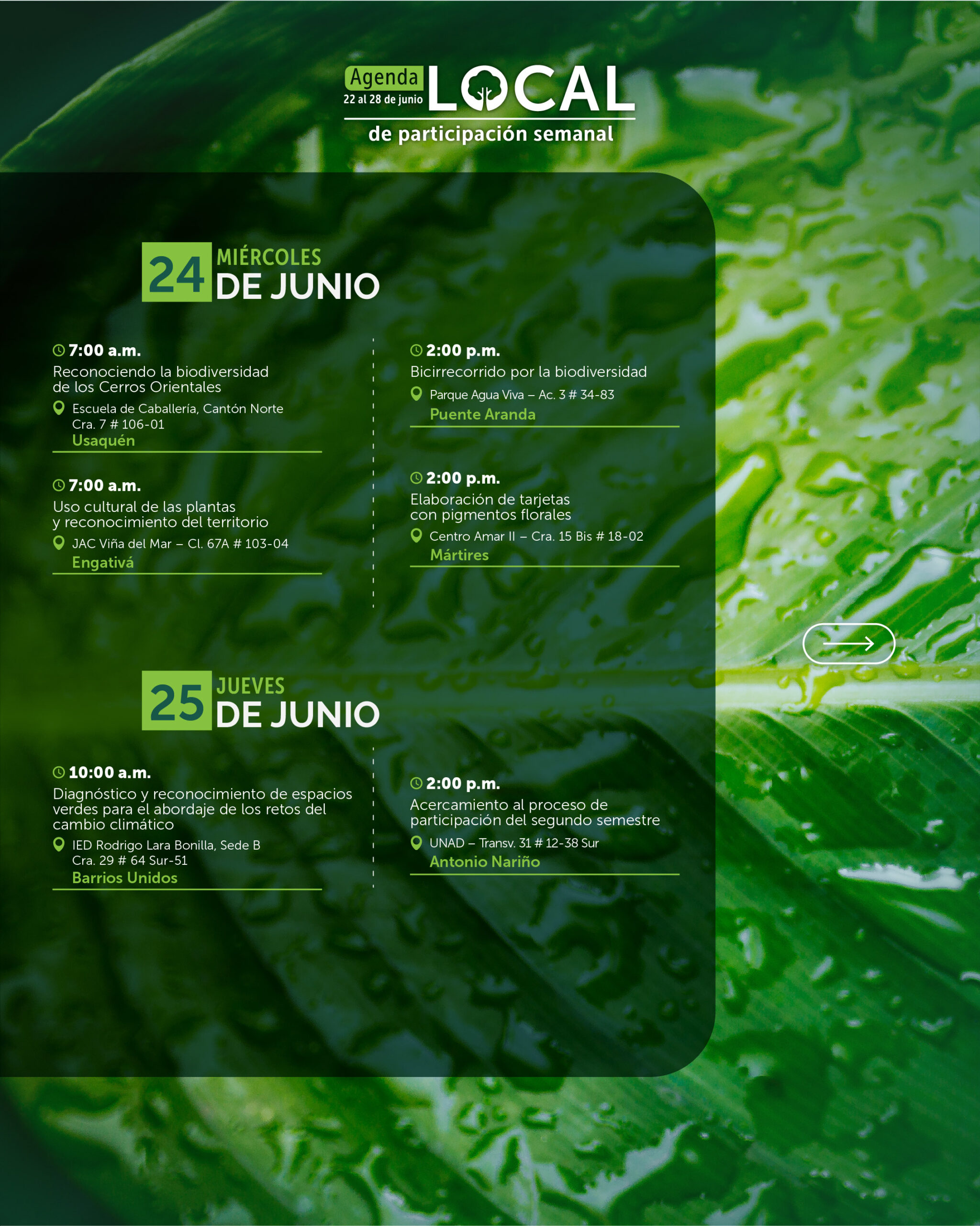 22 al 28 de junio-03