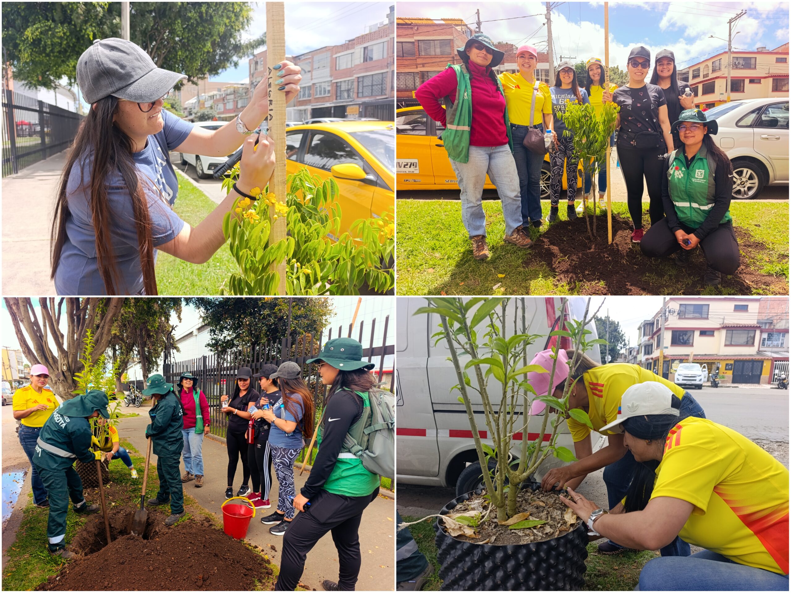 Historias del verde urbano: Recuperación arbórea en los andenes del Complejo Logístico San Cayetano Historias del verde urbano: Recuperación arbórea en los andenes del Complejo Logístico San Cayetano