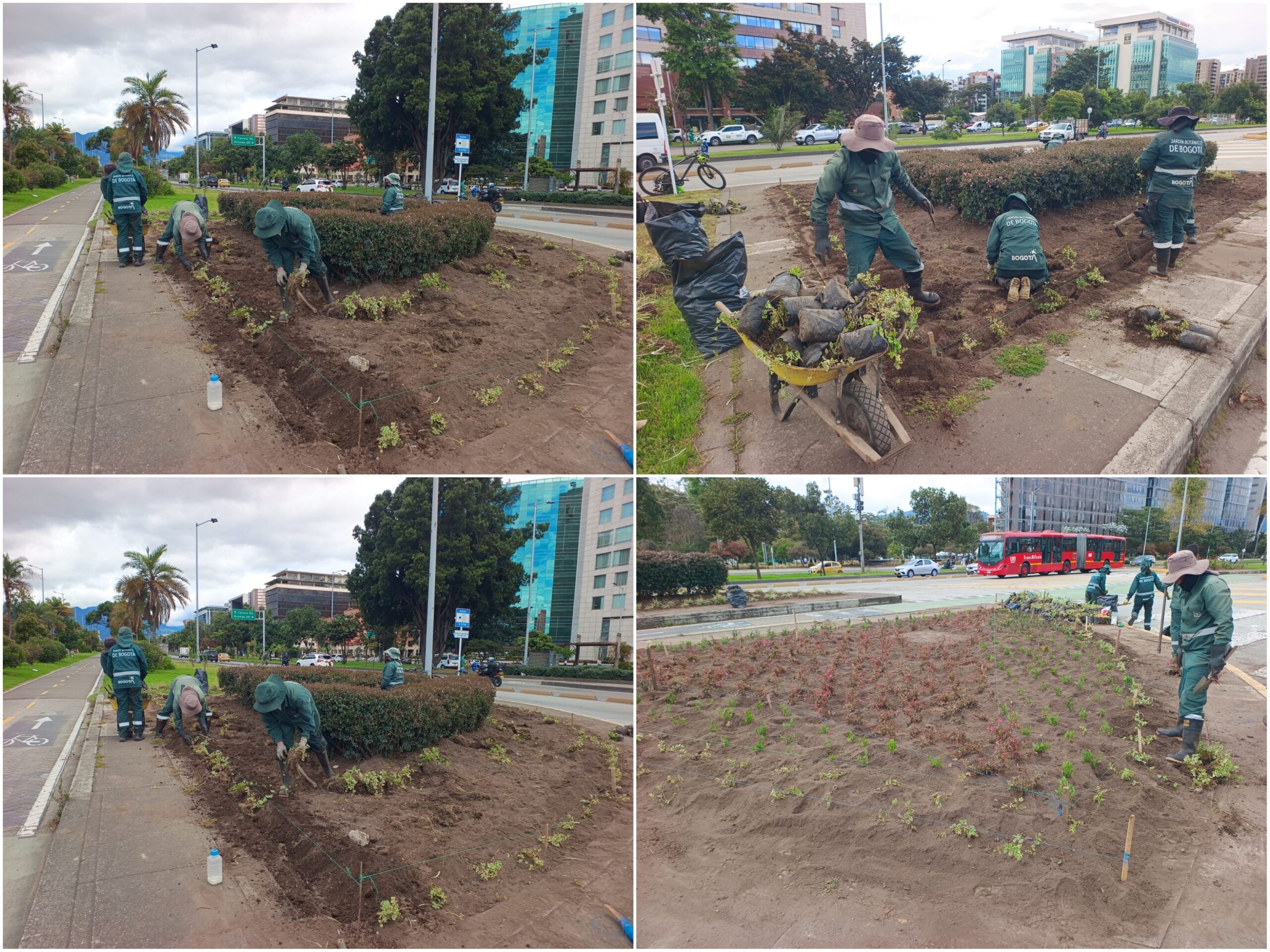 Historias del verde urbano: ¡Renacen cuatro jardineras de la calle 26!