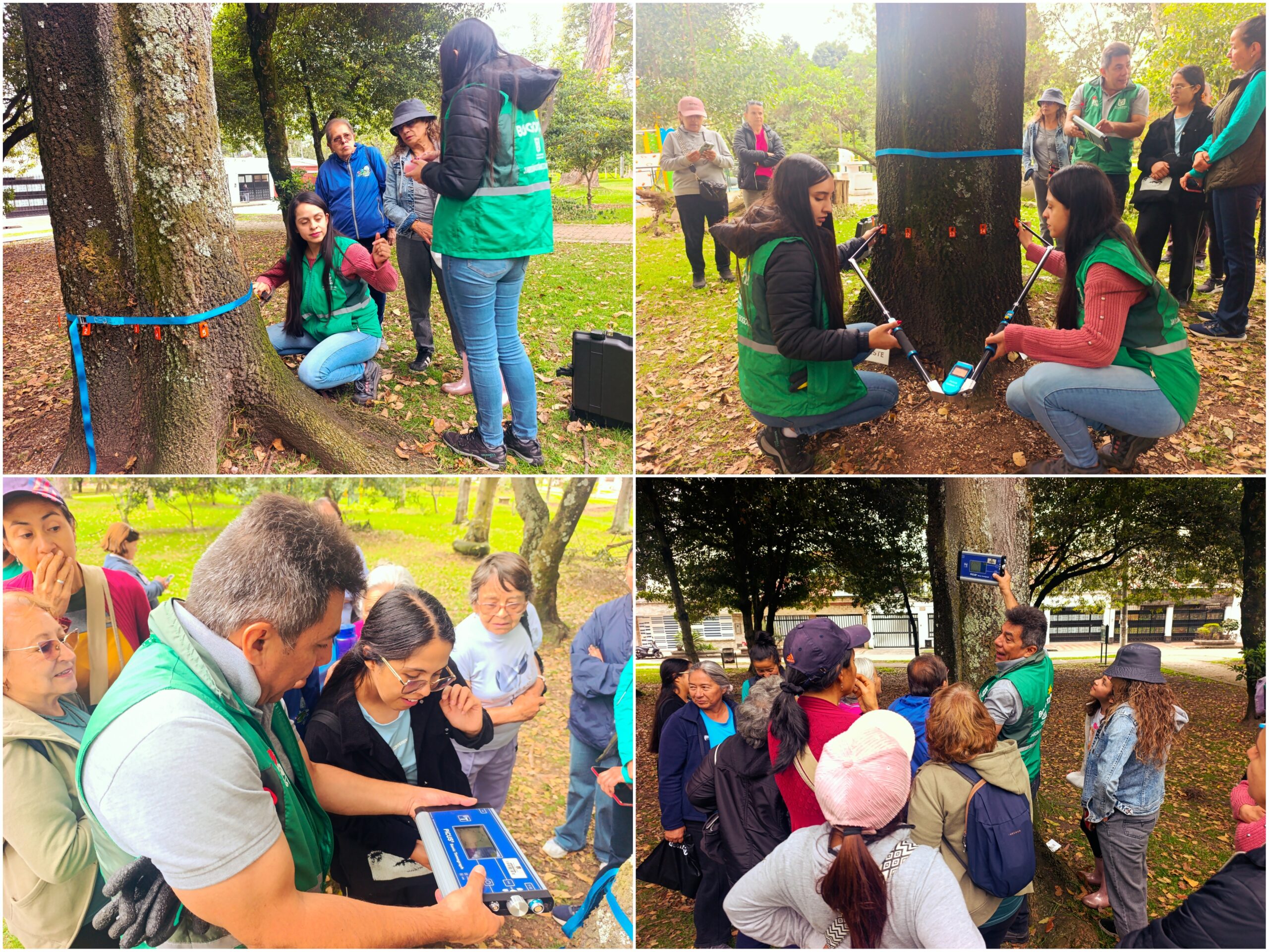 Historias del verde urbano: ¡Tomografía arbórea en el bosque urbano Canal Boyacá!