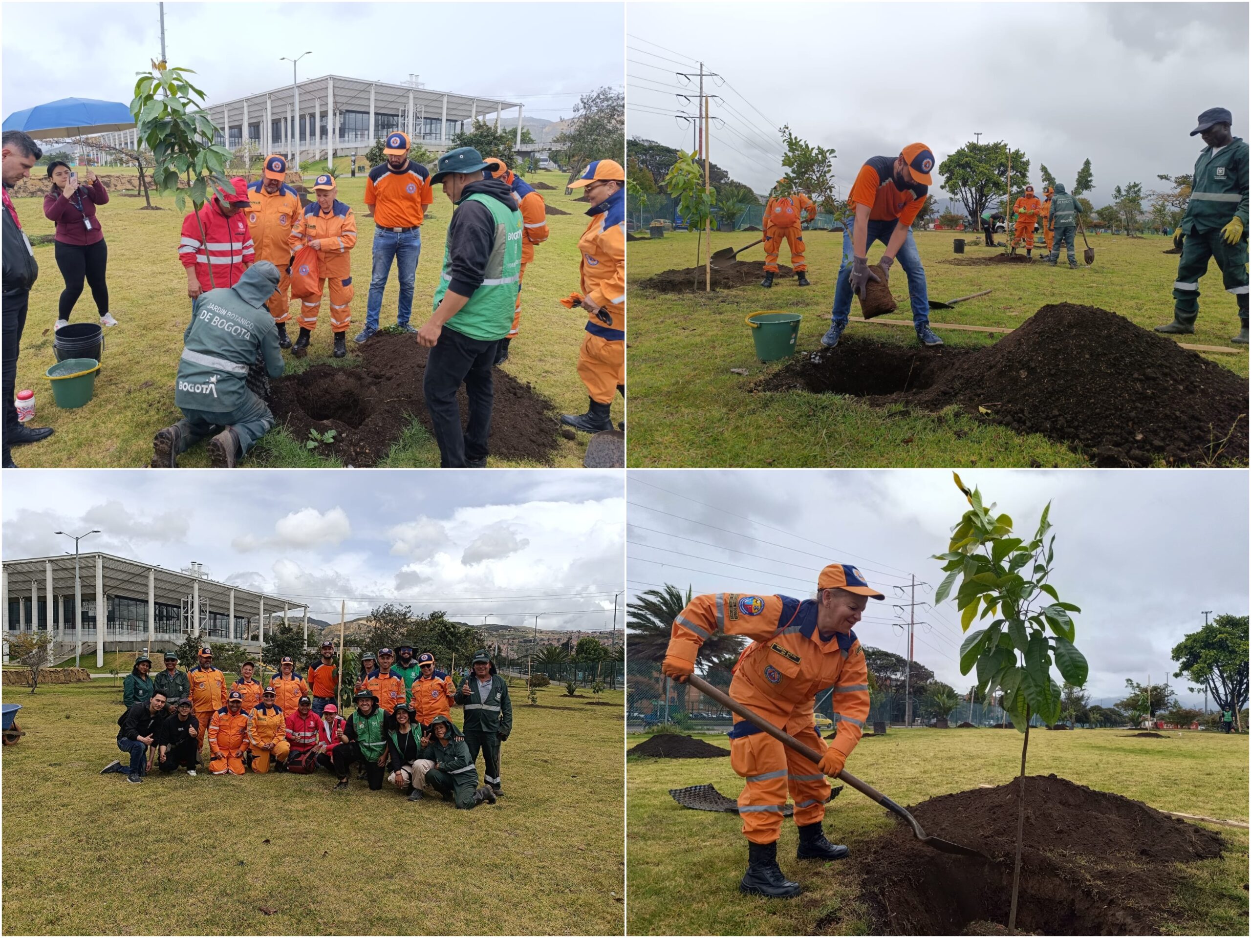 Historias del verde urbano: Bogotá aumentó su verde durante la Semana Ambiental con 296 nuevos árboles y arbustos Historias del verde urbano: Bogotá aumentó su verde durante la Semana Ambiental con 296 nuevos árboles y arbustos