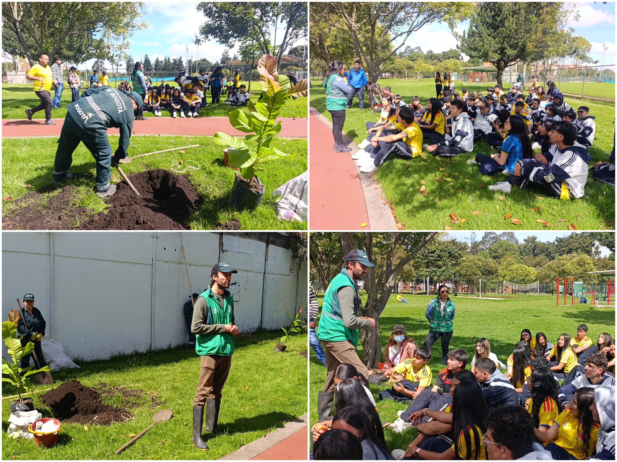 Historias del verde urbano: ¡Segunda plantación de magnolios nativos en el espacio público de Bogotá! Historias del verde urbano: ¡Segunda plantación de magnolios nativos en el espacio público de Bogotá!