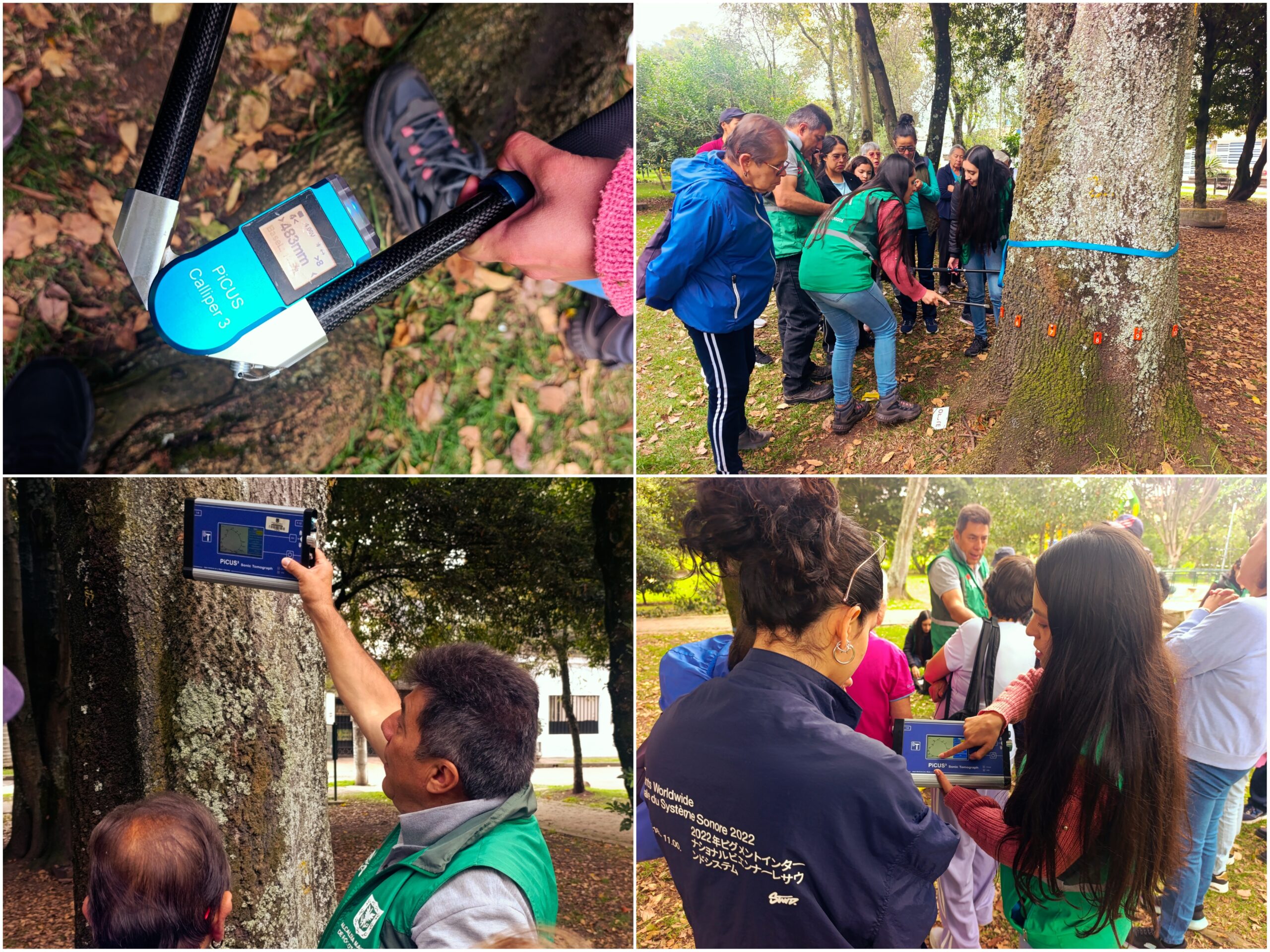 Historias del verde urbano: ¡Tomografía arbórea en el bosque urbano Canal Boyacá!