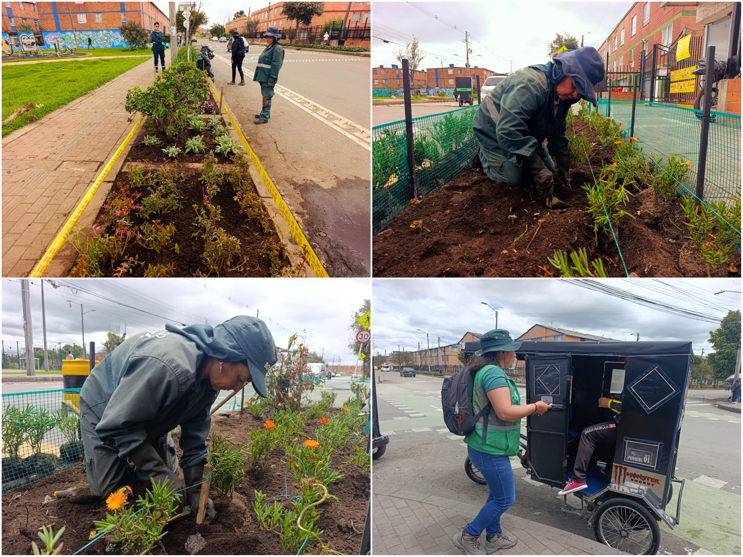 Historias del verde urbano: ¡Florecen los andenes de la Primavera del Tintal! Historias del verde urbano: ¡Florecen los andenes de la Primavera del Tintal!