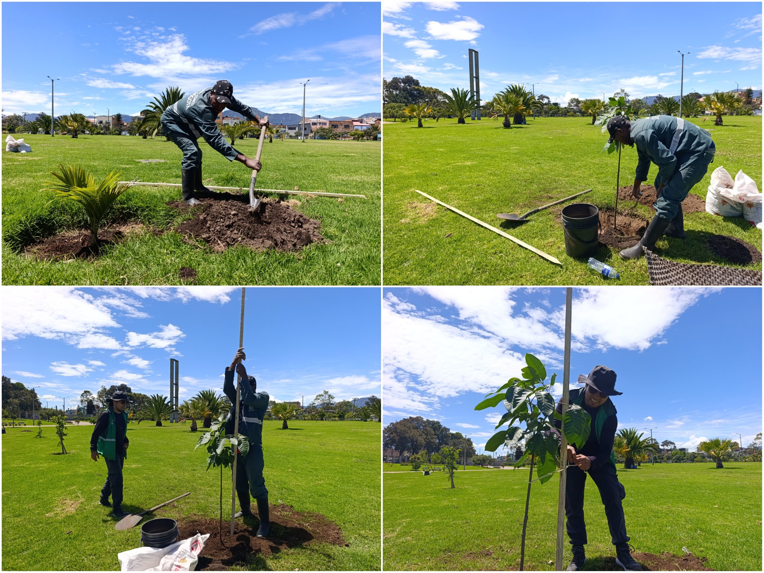 Historias del verde urbano: El nuevo verde del parque Villa Mayor Historias del verde urbano: El nuevo verde del parque Villa Mayor
