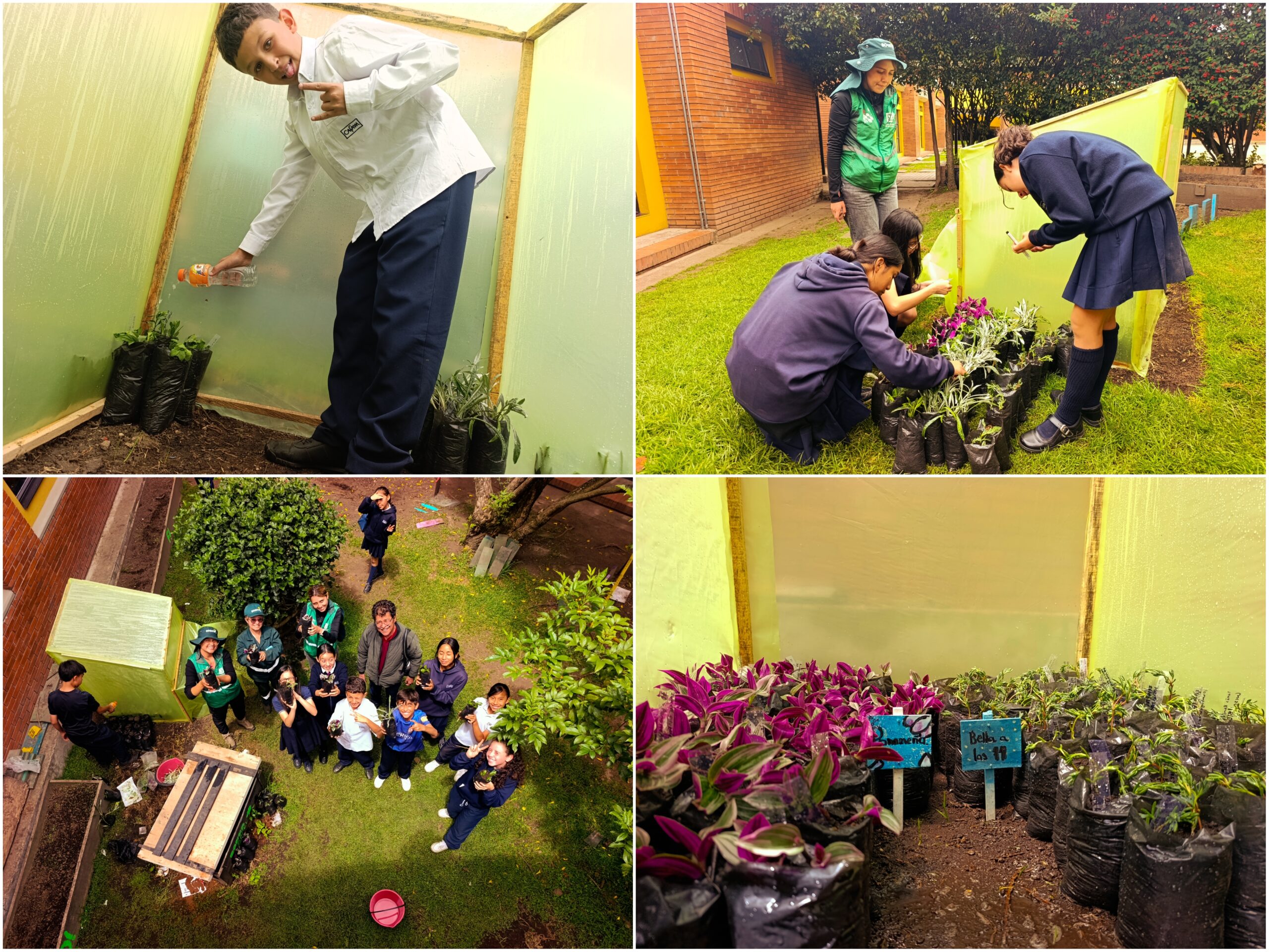 Historias del verde urbano: ¡Nuevos “jardineritos” en Engativá!