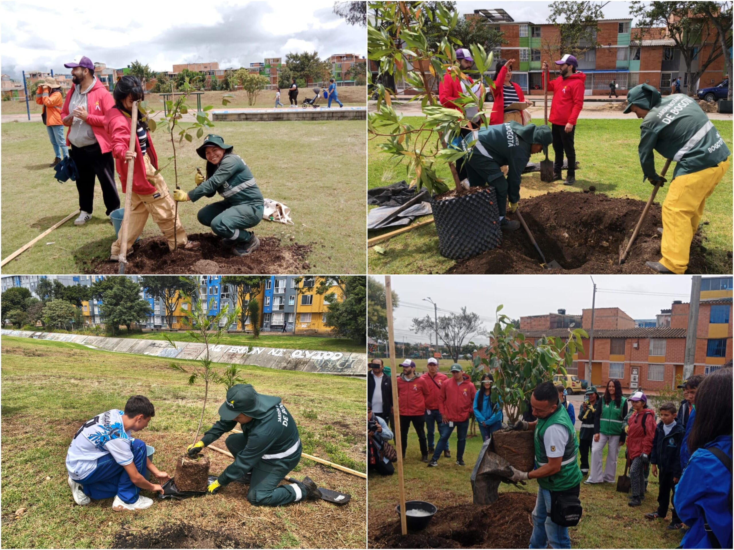 Historias del verde urbano: Bogotá aumentó su verde durante la Semana Ambiental con 296 nuevos árboles y arbustos Historias del verde urbano: Bogotá aumentó su verde durante la Semana Ambiental con 296 nuevos árboles y arbustos