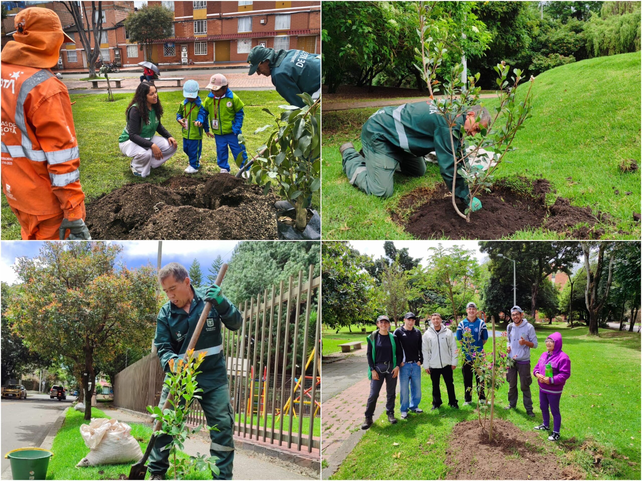 Historias del verde urbano: Bogotá aumentó su verde durante la Semana Ambiental con 296 nuevos árboles y arbustos Historias del verde urbano: Bogotá aumentó su verde durante la Semana Ambiental con 296 nuevos árboles y arbustos