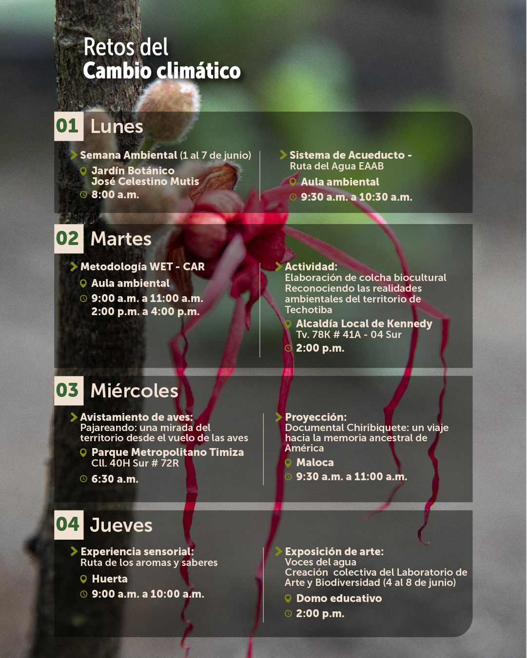 Agenda junio-02
