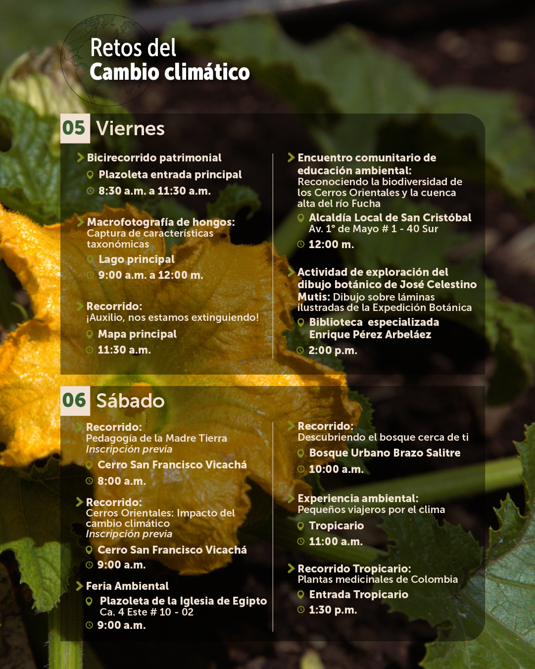 Agenda junio-03
