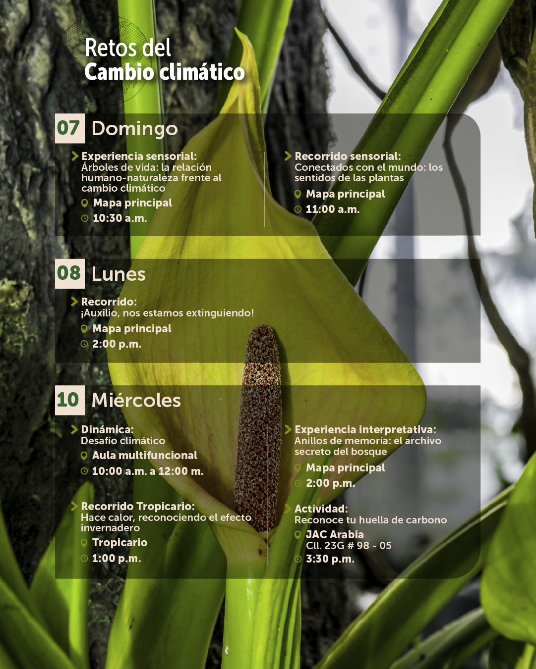 Agenda junio-04