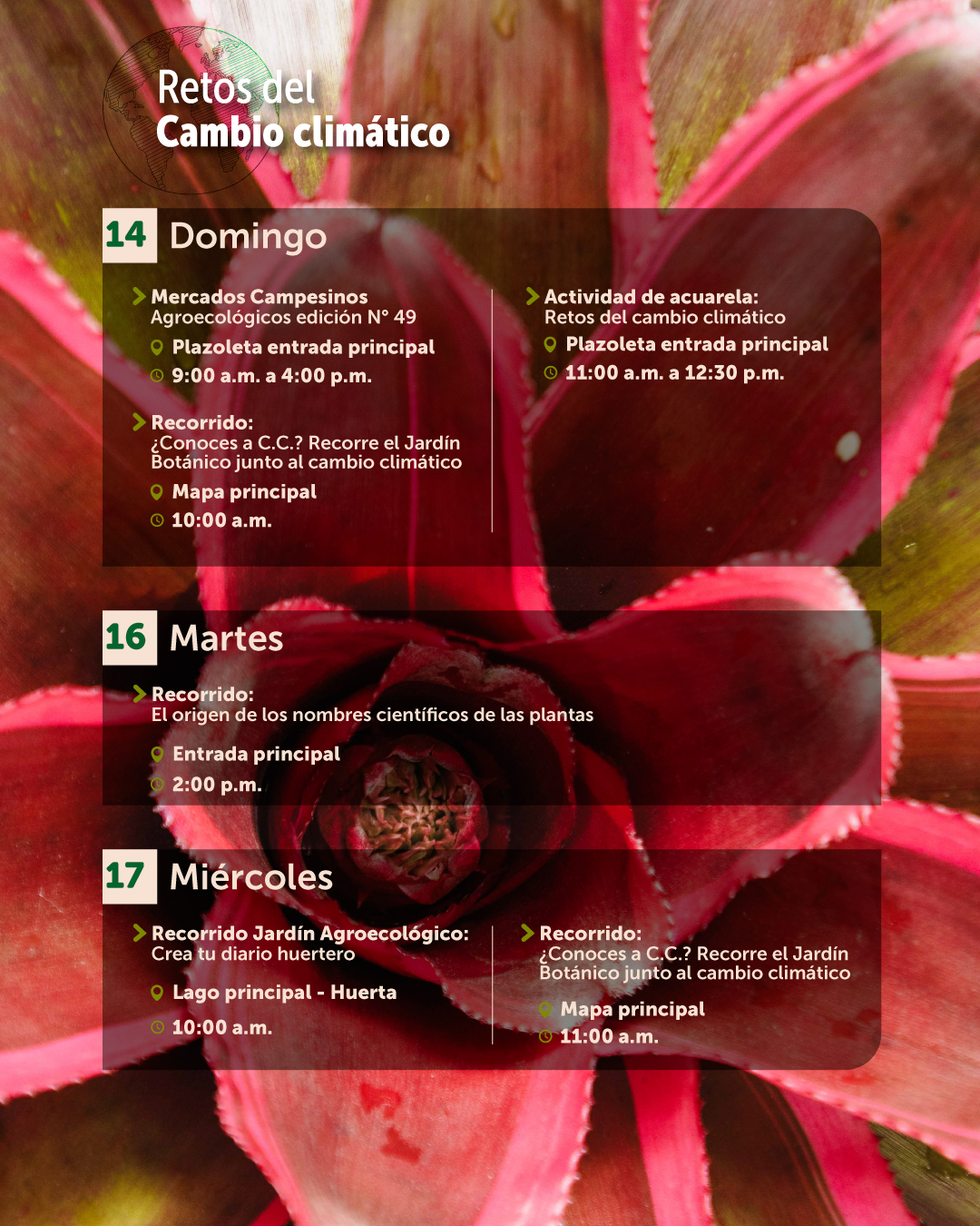 Agenda-junio-06