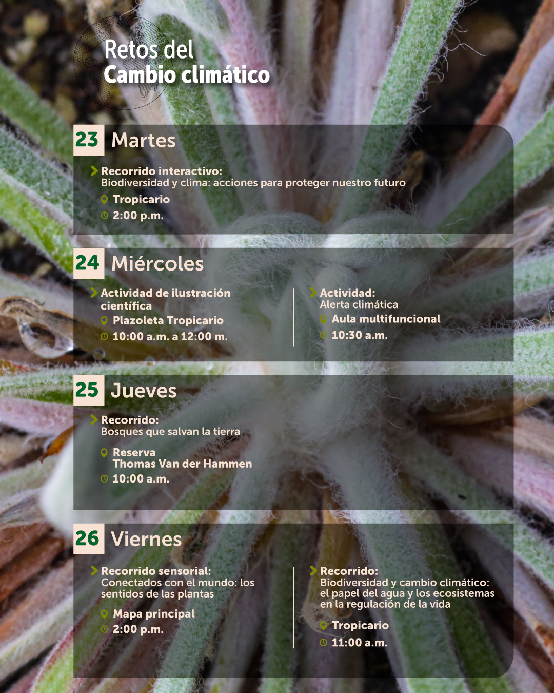 Agenda-junio-09