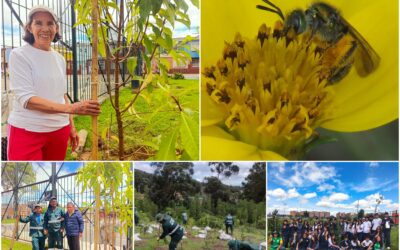 Historias del verde urbano: ¡Regalos verdes para las abejas!