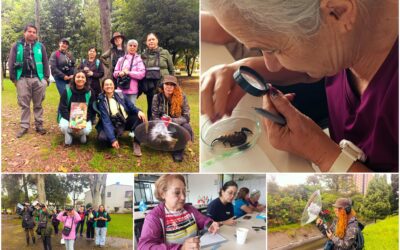 Historias del verde urbano: ¡Bosque urbano Canal Boyacá fortalece sus tejidos comunitarios!