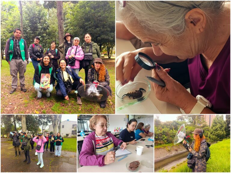 Historias del verde urbano: ¡Bosque urbano Canal Boyacá fortalece sus tejidos comunitarios!