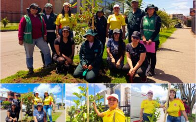 Historias del verde urbano: Recuperación arbórea en los andenes del Complejo Logístico San Cayetano