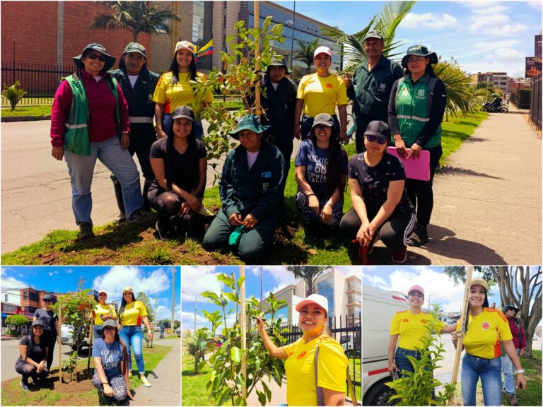 Historias del verde urbano: Recuperación arbórea en los andenes del Complejo Logístico San Cayetano
