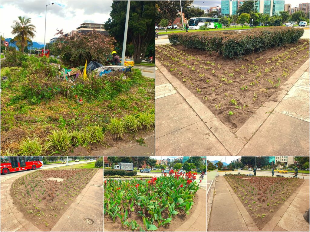 Historias del verde urbano: ¡Renacen cuatro jardineras de la calle 26!