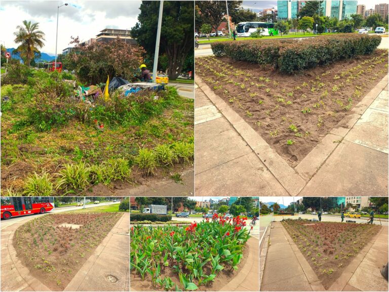 Historias del verde urbano: ¡Renacen cuatro jardineras de la calle 26!