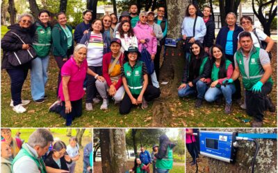 Historias del verde urbano: ¡Tomografía arbórea en el bosque urbano Canal Boyacá!