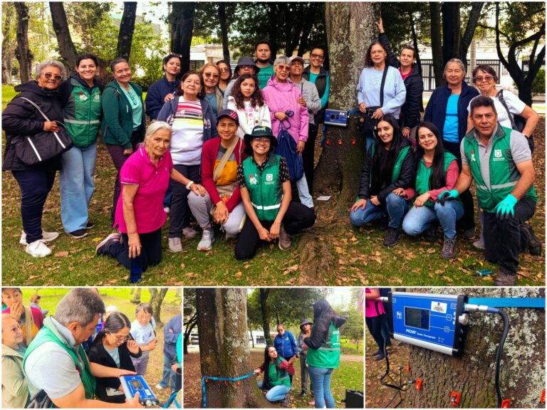 Historias del verde urbano: ¡Tomografía arbórea en el bosque urbano Canal Boyacá!