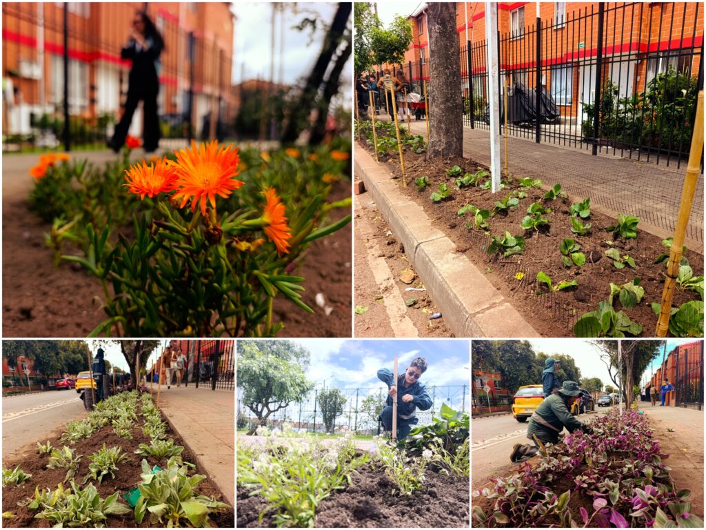 Historias del verde urbano: ¡Florecen los andenes de la Primavera del Tintal!