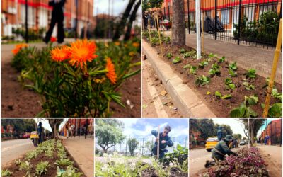 Historias del verde urbano: ¡Florecen los andenes de la Primavera del Tintal!