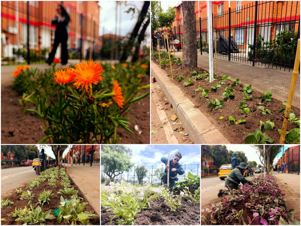Historias del verde urbano: ¡Florecen los andenes de la Primavera del Tintal!
