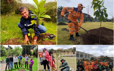 Historias del verde urbano: Bogotá aumentó su verde durante la Semana Ambiental con 296 nuevos árboles y arbustos