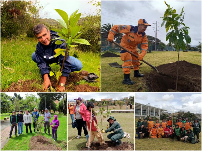 Historias del verde urbano: Bogotá aumentó su verde durante la Semana Ambiental con 296 nuevos árboles y arbustos