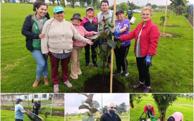 Historias del verde urbano: El vecino verde del humedal La Vaca fortaleció su arbolado