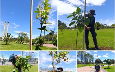 Historias del verde urbano: El nuevo verde del parque Villa Mayor