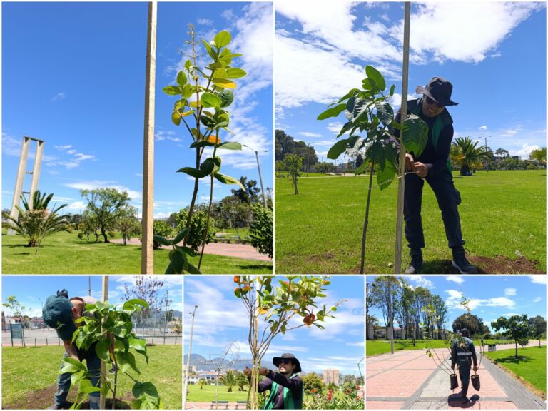 Historias del verde urbano: El nuevo verde del parque Villa Mayor